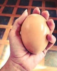 تخم مرغ غول پيکر همراه با جايزه